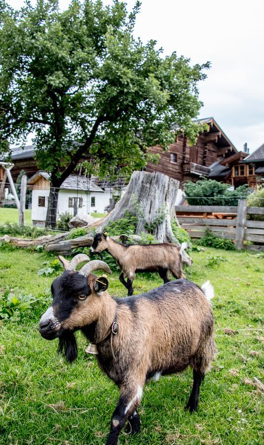 Christernhof Villa Maria Alm am Steinernen Meer Exterior foto